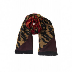 Cavalli Class - SC4HWMV0771 - Marrón