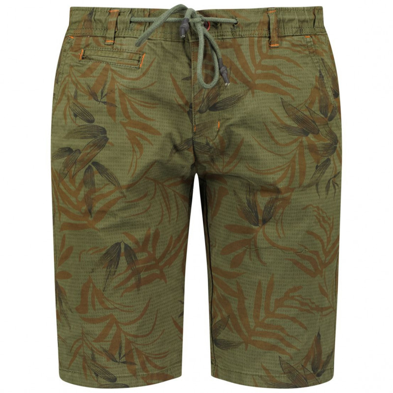 Geographical Norway - PELLEX_233 - Verde