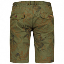 Geographical Norway - PELLEX_233 - Verde